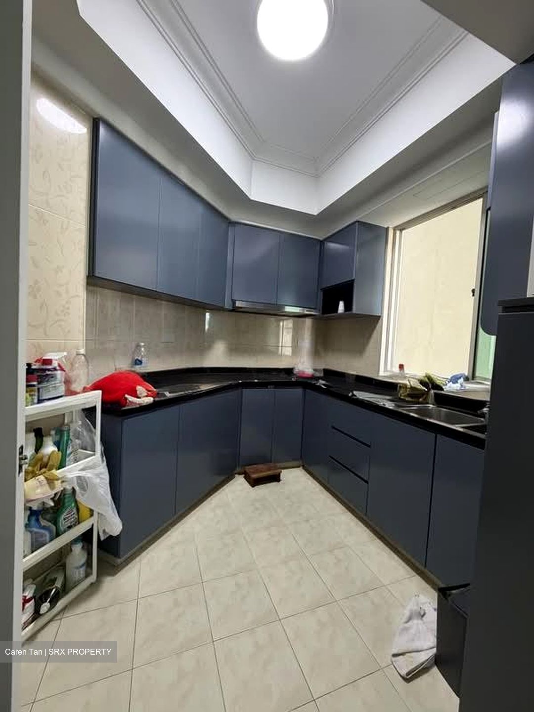 Oleander Towers (D12), Apartment #598759021